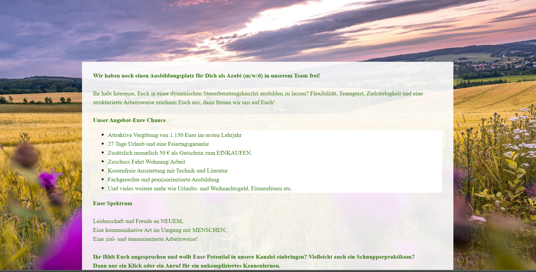 Vorher-Screenshot der Website von Börner & Hähnel Steuerberatung